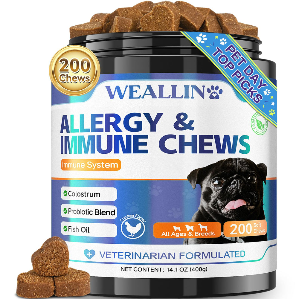 WEALLIN dog allergy relief chews jar front for daily skin comfort.