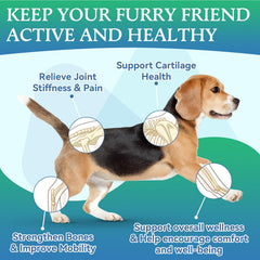 WEALLIN dog joint chews soft texture close-up for easy chewing