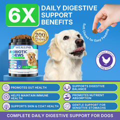 WEALLIN dog probiotic chews jar closeup emphasizing gut health benefits.