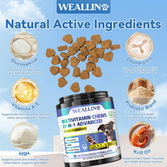 WEALLIN Dog Vitamins coat shine image showing healthy skin and glossy fur
