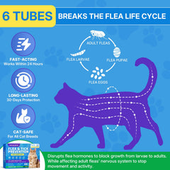 WEALLIN large cat weighing over 9lbs benefiting from full-body protection.