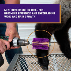 Weaver Leather Mini Roto Brush focusing on goat hair to lift leg wool.