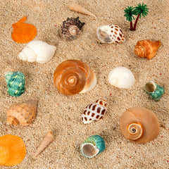 WeDoSoy hermit crab shells small to large offering comfy homes.