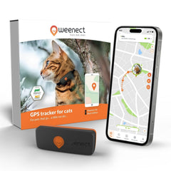 Weenect Cat XS with collar included for reliable tracking
