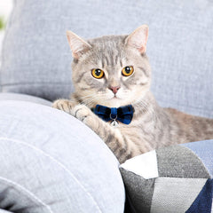 Weewooday breakaway collar with bell and plaid design helps locate your cat indoors