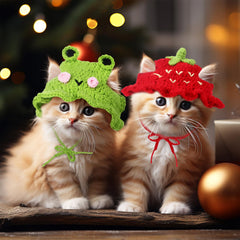Weewooday fruits-hat set offers versatile pet props