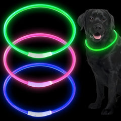 Weewooday LED dog collar in blue provides 360-degree visibility for safe nighttime walks.