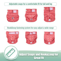 Wegreeco reusable dog diapers with snaps adjustable for perfect tail hole placement.