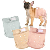 Wegreeco Frenchie diapers with no tail hole for docked tails; comfortable fit.
