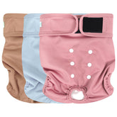 Wegreeco washable dog diapers on a dog for comfortable, reusable protection.
