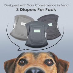 wegreeco belly band pattern floral design supports training and marking control