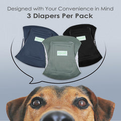 Wegreeco belly band green pattern offering moisture-wicking comfort for long wear.