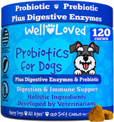 Well Loved Probiotics for Dogs soft chews in a bottle support gut health daily.