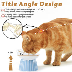Wellbro cat eating from raised dish with whisker-friendly width.