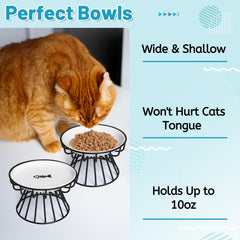 Wellbro ceramic bowls are easy to clean and durable for daily use.