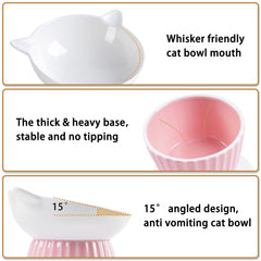 Wellbro elevated feeder shown with easy-clean ceramic surface.