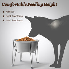 Wellbro large-capacity bowls hold ample water or food for bigger dogs.