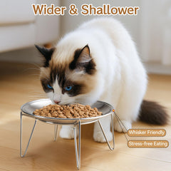Wellbro stainless steel cat dishes highlight durability and hygiene