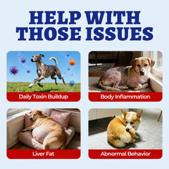 Wellix 260 Bites chicken-flavored chews for dogs, appealing taste with liver support.