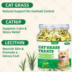 Wellix cat grass treats with catnip and salmon ingredients appeal to cats.