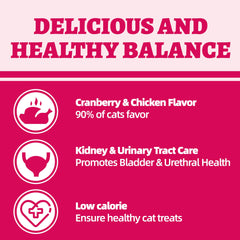 Wellix cat treats kibble in bowl for training rewards and daily snacks.