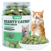 Wellix Catnip Treats freeze-dried chicken with cat grass for digestive support.