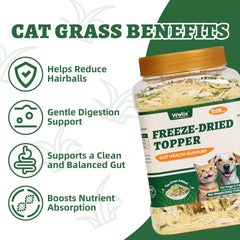 Wellix chicken flavor cat treats in bowl for cats