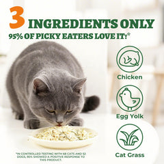 Wellix freeze-dried egg yolk cat treats highlight grain-free, protein-rich formula
