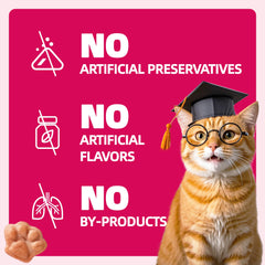 Wellix kitten enjoying a treat, ideal for positive reinforcement.