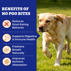 Wellix No Poo Chews dog bowl closeup shows tasty chicken pumpkin flavor.