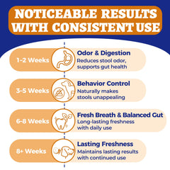 Wellix probiotics digestive support chews closeup highlighting gut-friendly enzymes and pumpkin benefits.