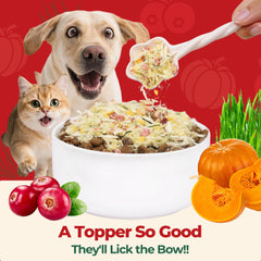 Wellix topper served in a bowl highlighting versatile rewards for cats and dogs