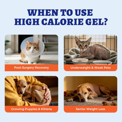 Wellix Weight Gainer nose-application enables self-licking convenience and mess-free feeding.