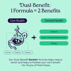 WellJoy GutBoost Biotic Blend: supports gut health with enzymes, prebiotics, and probiotics.