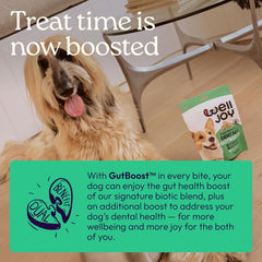 WellJoy dual-benefit formula combines dental care and gut health.
