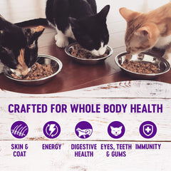 Wellness cat-food-pate-style-base adds smooth texture variety.