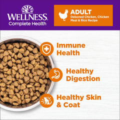 Wellness Complete Health cat kibble in a serving bowl, ready for mealtime