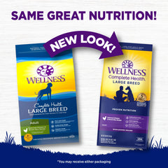 Wellness Complete Health dog eating from bowl, tasty kibble for hearty meals