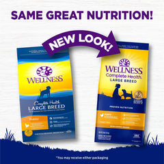 Wellness kibble in bowl with scoop for convenient daily feeding