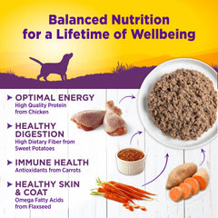 Serving bowl with Wellness Complete Health Pate ready for a dog meal.