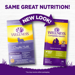 Serving bowl of Wellness Complete Health dog food ready to feed