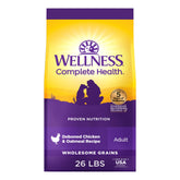 Wellness Complete Health dry dog food in a bowl for daily energy and digestion support