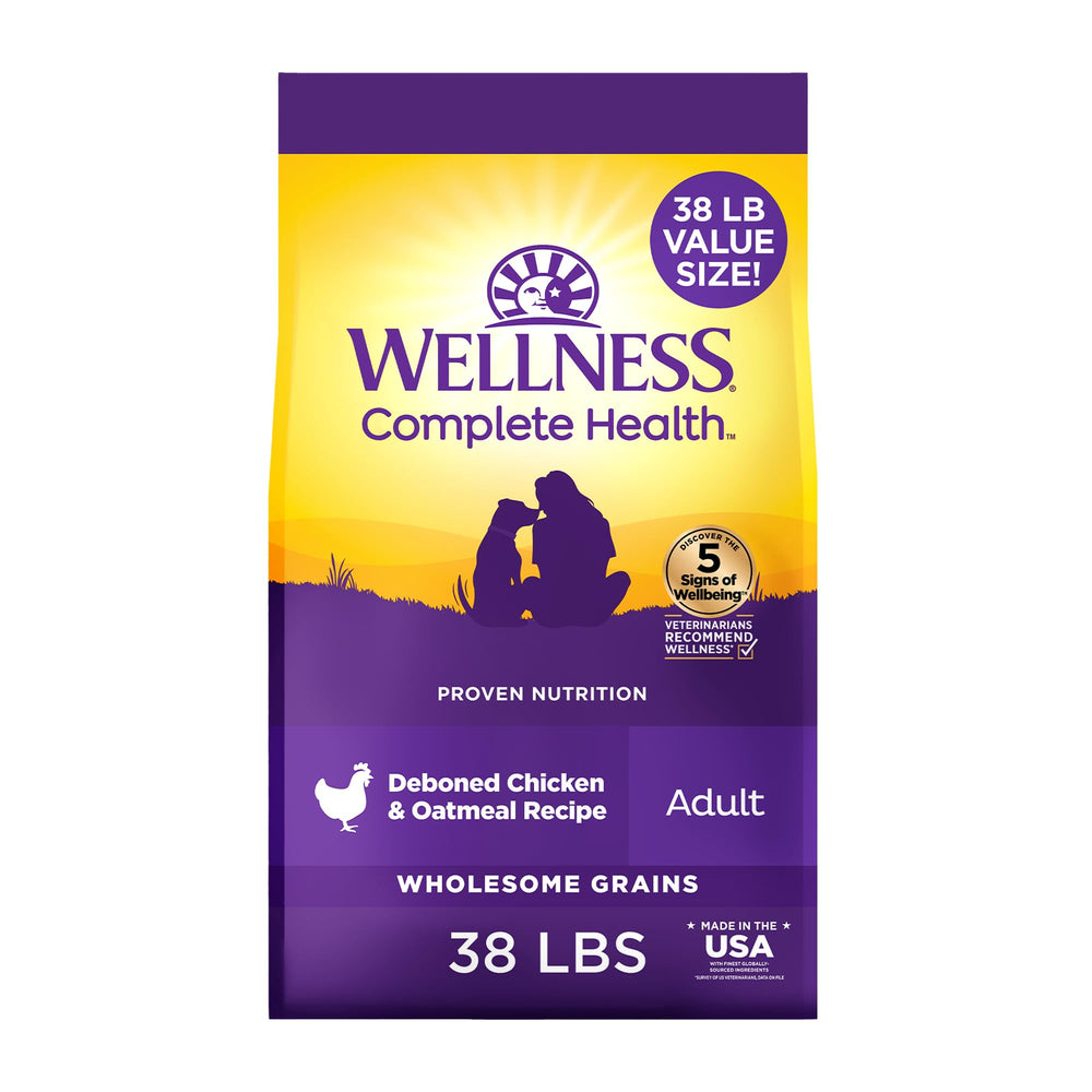 Wellness Complete Health dry dog food in a bowl showing balanced nutrition for daily energy