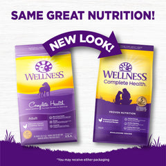 Wellness Complete Health kibble close-up highlighting protein-rich pieces for adult dogs
