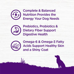 Wellness Complete Health kibble texture close-up highlights crunch.