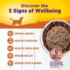 Wellness Complete Health ingredients support immune health and vitality