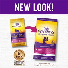 Wellness Complete Health Indoor Cat Food serving bowl depicts balanced daily meals.