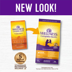 Wellness Complete Health Indoor Chicken kibble bag highlights USA-made, natural ingredients.