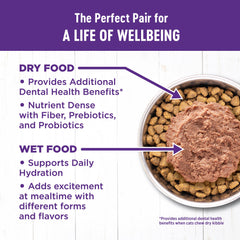 Wellness Complete Health Coat Shine Closeup shows healthy fur from quality ingredients