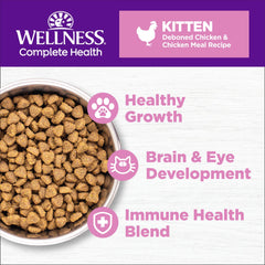 Wellness Complete Health kitten meal serving in a bowl emphasizes balanced nutrition for growth